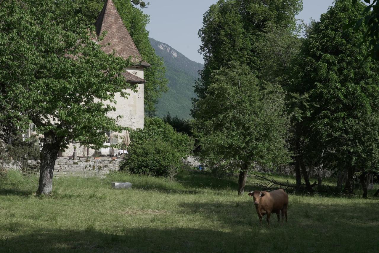 Domaine Du Tres-Haut - Chateau De Montanges Exterior photo
