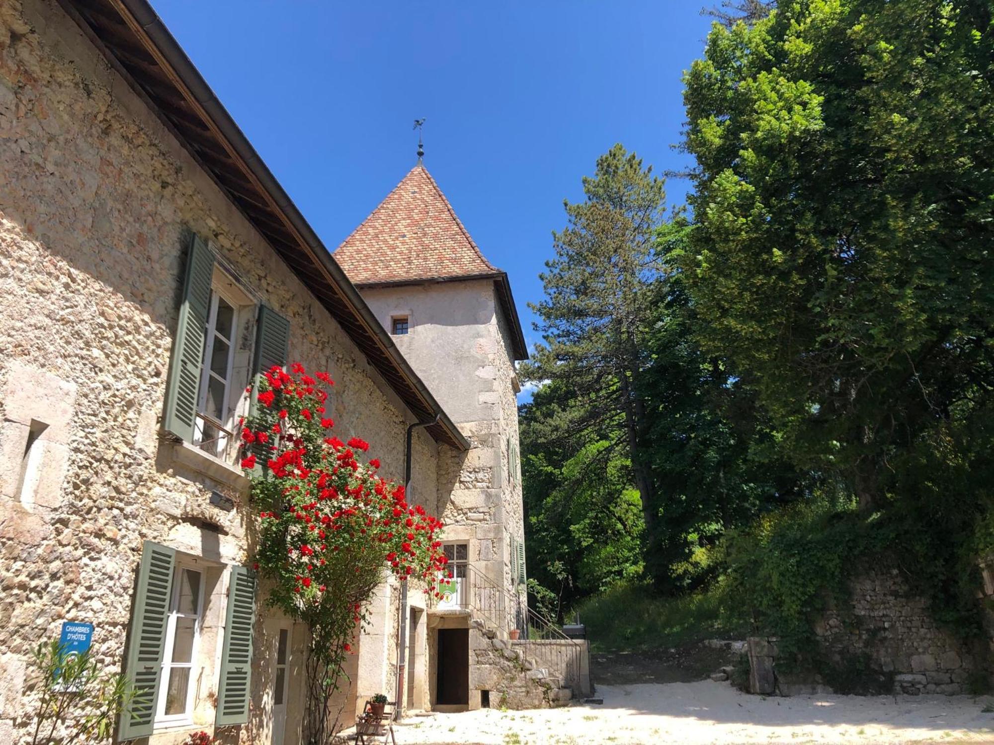 Domaine Du Tres-Haut - Chateau De Montanges Exterior photo